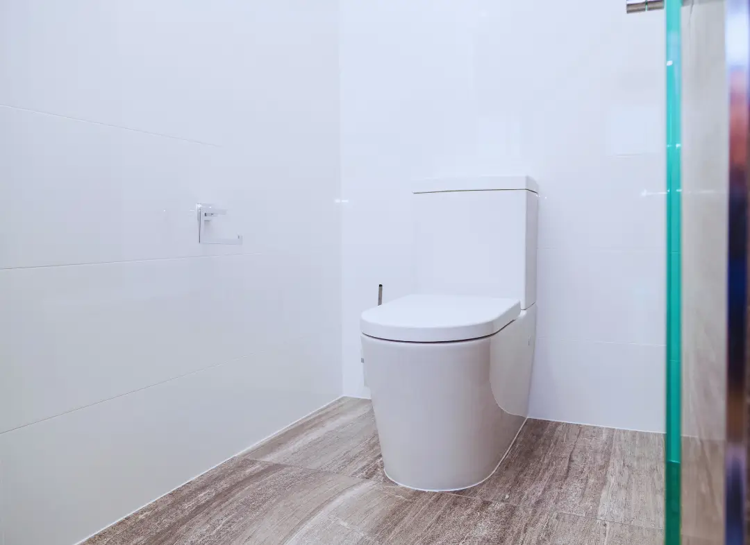 Remplacement de wc Loireauxence