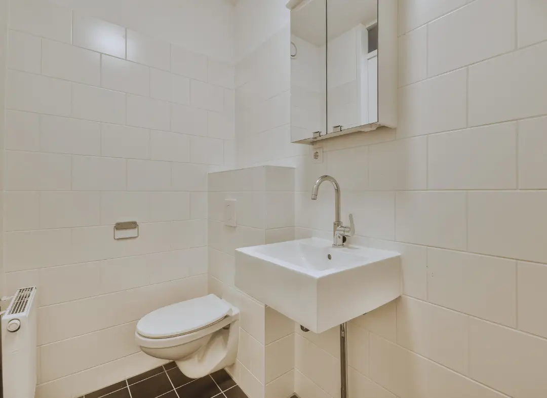 Pose WC Suspendu Loireauxence